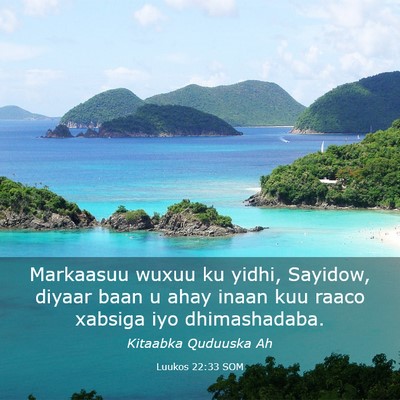 Picture 03 - Luukos 22:33 SOM - Markaasuu wuxuu ku yidhi, Sayidow, diyaar baan u - Bible Verse Picture