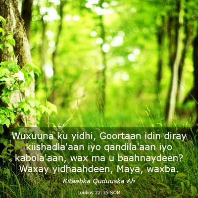 Picture 03 - Luukos 22:35 SOM - Wuxuuna ku yidhi, Goortaan idin diray - Bible Verse Picture