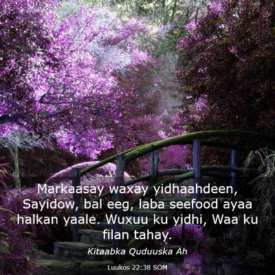 Picture 03 - Luukos 22:38 SOM - Markaasay waxay yidhaahdeen, Sayidow, bal eeg, - Bible Verse Picture