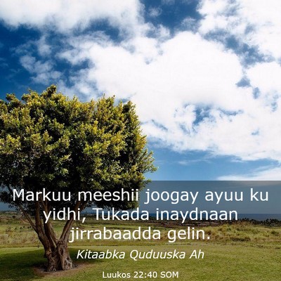 Picture 03 - Luukos 22:40 SOM - Markuu meeshii joogay ayuu ku yidhi, Tukada - Bible Verse Picture
