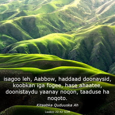 Picture 03 - Luukos 22:42 SOM - isagoo leh, Aabbow, haddaad doonaysid, koobkan - Bible Verse Picture