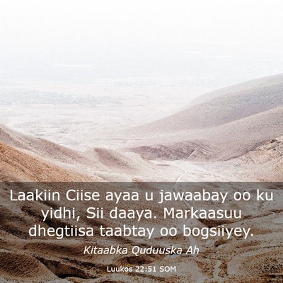 Picture 03 - Luukos 22:51 SOM - Laakiin Ciise ayaa u jawaabay oo ku yidhi, Sii - Bible Verse Picture
