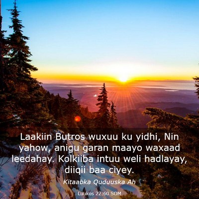 Picture 03 - Luukos 22:60 SOM - Laakiin Butros wuxuu ku yidhi, Nin yahow, anigu - Bible Verse Picture