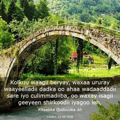 Picture 03 - Luukos 22:66 SOM - Kolkuu waagii beryay, waxaa ururay waayeelladii - Bible Verse Picture