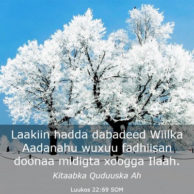 Picture 03 - Luukos 22:69 SOM - Laakiin hadda dabadeed Wiilka Aadanahu wuxuu - Bible Verse Picture