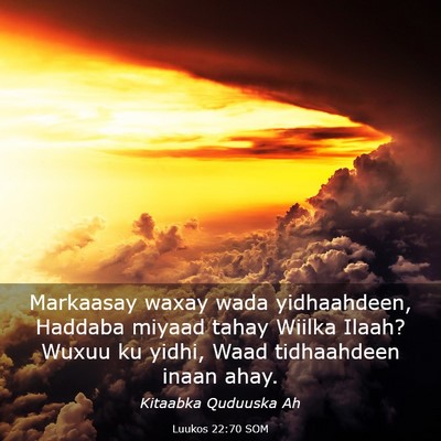 Picture 03 - Luukos 22:70 SOM - Markaasay waxay wada yidhaahdeen, Haddaba miyaad - Bible Verse Picture