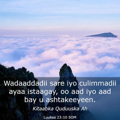 Picture 03 - Luukos 23:10 SOM - Wadaaddadii sare iyo culimmadii ayaa istaagay, oo - Bible Verse Picture