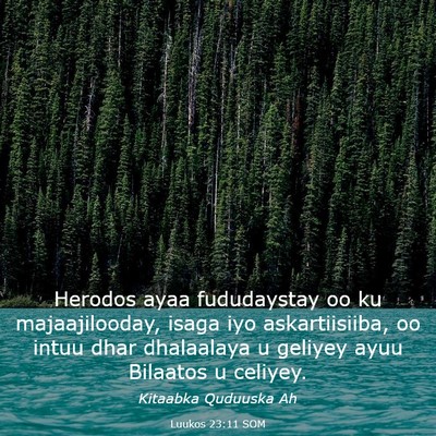 Picture 03 - Luukos 23:11 SOM - Herodos ayaa fududaystay oo ku majaajilooday, - Bible Verse Picture