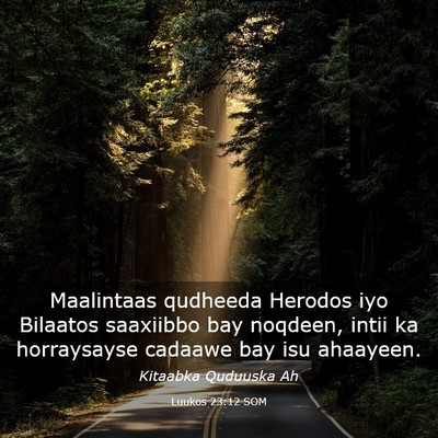 Picture 03 - Luukos 23:12 SOM - Maalintaas qudheeda Herodos iyo Bilaatos - Bible Verse Picture