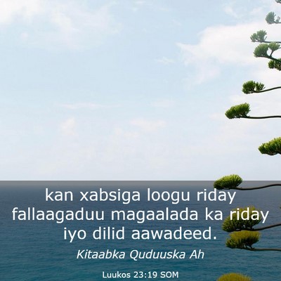 Picture 03 - Luukos 23:19 SOM - kan xabsiga loogu riday fallaagaduu magaalada ka - Bible Verse Picture