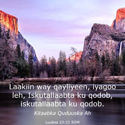 Picture 03 - Luukos 23:21 SOM - Laakiin way qayliyeen, iyagoo leh, Iskutallaabta - Bible Verse Picture