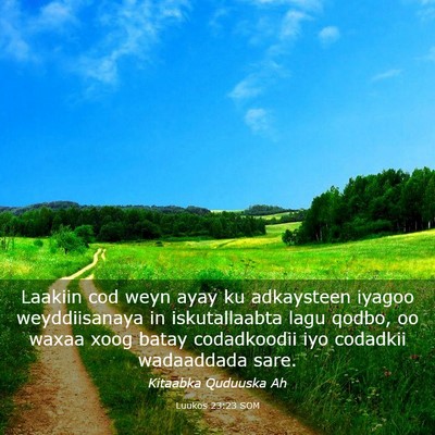 Picture 03 - Luukos 23:23 SOM - Laakiin cod weyn ayay ku adkaysteen iyagoo - Bible Verse Picture