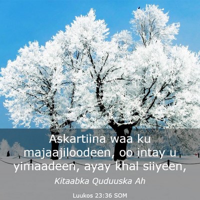 Picture 03 - Luukos 23:36 SOM - Askartiina waa ku majaajiloodeen, oo intay u - Bible Verse Picture