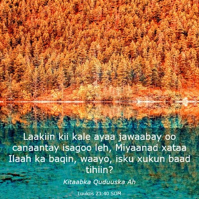 Picture 03 - Luukos 23:40 SOM - Laakiin kii kale ayaa jawaabay oo canaantay - Bible Verse Picture