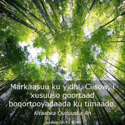 Picture 03 - Luukos 23:42 SOM - Markaasuu ku yidhi, Ciisow, i xusuuso goortaad - Bible Verse Picture