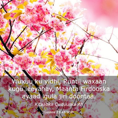 Picture 03 - Luukos 23:43 SOM - Wuxuu ku yidhi, Runtii waxaan kugu leeyahay, - Bible Verse Picture