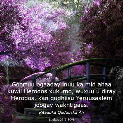 Picture 03 - Luukos 23:7 SOM - Goortuu ogaaday inuu ka mid ahaa kuwii Herodos - Bible Verse Picture