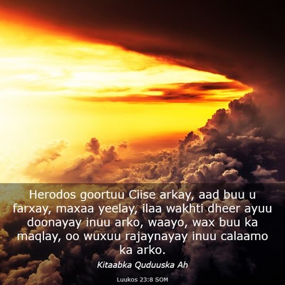 Picture 03 - Luukos 23:8 SOM - Herodos goortuu Ciise arkay, aad buu u farxay, - Bible Verse Picture