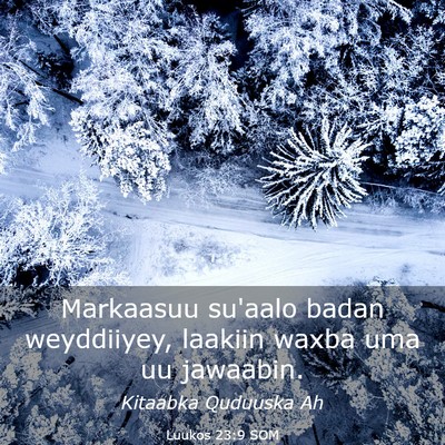 Picture 03 - Luukos 23:9 SOM - Markaasuu su'aalo badan weyddiiyey, laakiin waxba - Bible Verse Picture