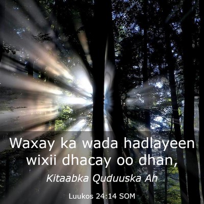 Picture 03 - Luukos 24:14 SOM - Waxay ka wada hadlayeen wixii dhacay oo - Bible Verse Picture