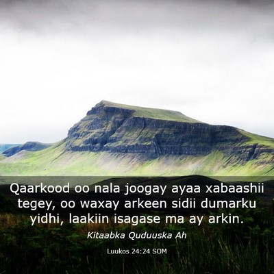 Picture 03 - Luukos 24:24 SOM - Qaarkood oo nala joogay ayaa xabaashii tegey, oo - Bible Verse Picture