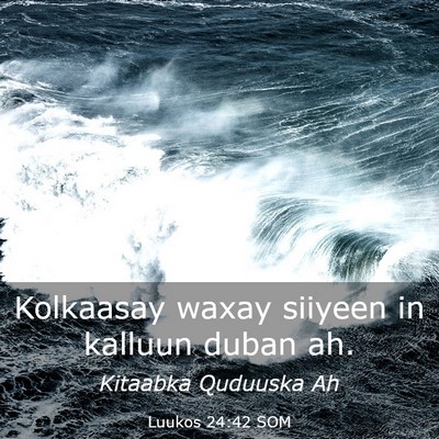 Picture 03 - Luukos 24:42 SOM - Kolkaasay waxay siiyeen in kalluun duban - Bible Verse Picture