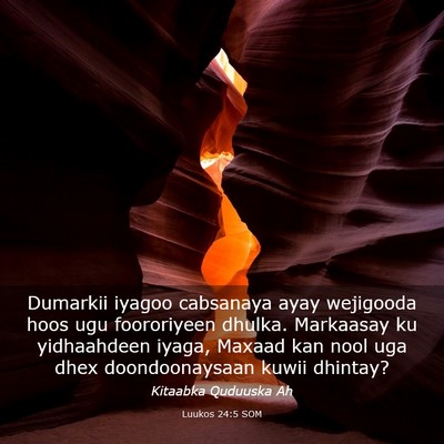 Picture 03 - Luukos 24:5 SOM - Dumarkii iyagoo cabsanaya ayay wejigooda hoos ugu - Bible Verse Picture