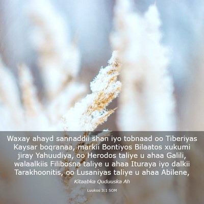 Picture 03 - Luukos 3:1 SOM - Waxay ahayd sannaddii shan iyo tobnaad oo - Bible Verse Picture