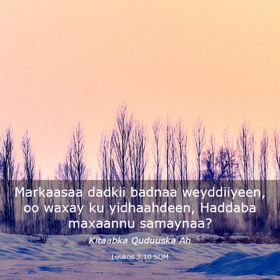 Picture 03 - Luukos 3:10 SOM - Markaasaa dadkii badnaa weyddiiyeen, oo waxay ku - Bible Verse Picture