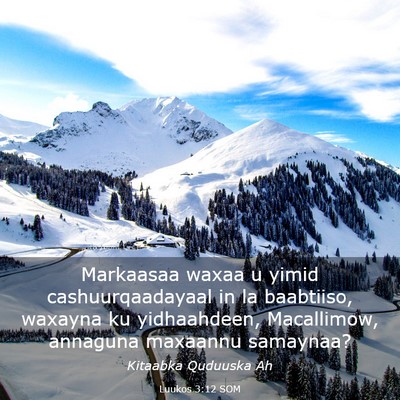 Picture 03 - Luukos 3:12 SOM - Markaasaa waxaa u yimid cashuurqaadayaal in la - Bible Verse Picture