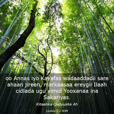 Picture 03 - Luukos 3:2 SOM - oo Annas iyo Kayafas wadaaddadii sare ahaan - Bible Verse Picture