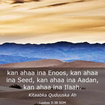 Picture 03 - Luukos 3:38 SOM - kan ahaa ina Enoos, kan ahaa ina Seed, kan ahaa - Bible Verse Picture
