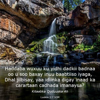 Picture 03 - Luukos 3:7 SOM - Haddaba wuxuu ku yidhi dadkii badnaa oo u soo - Bible Verse Picture