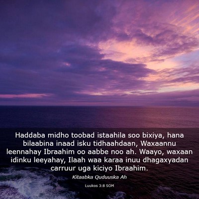 Picture 03 - Luukos 3:8 SOM - Haddaba midho toobad istaahila soo bixiya, hana - Bible Verse Picture
