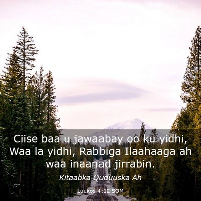 Picture 03 - Luukos 4:12 SOM - Ciise baa u jawaabay oo ku yidhi, Waa la yidhi, - Bible Verse Picture