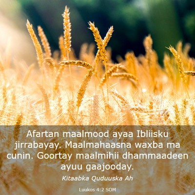 Picture 03 - Luukos 4:2 SOM - Afartan maalmood ayaa Ibliisku jirrabayay. - Bible Verse Picture