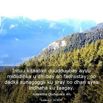 Picture 03 - Luukos 4:20 SOM - Intuu kitaabkii duudduubay ayuu midiidinka u - Bible Verse Picture