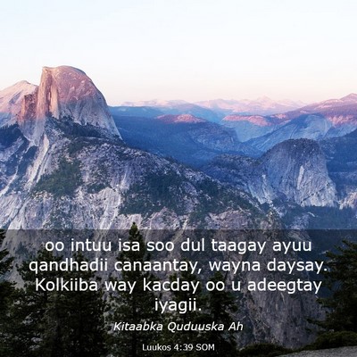 Picture 03 - Luukos 4:39 SOM - oo intuu isa soo dul taagay ayuu qandhadii - Bible Verse Picture