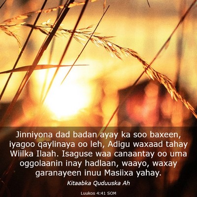 Picture 03 - Luukos 4:41 SOM - Jinniyona dad badan ayay ka soo baxeen, iyagoo - Bible Verse Picture