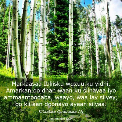 Picture 03 - Luukos 4:6 SOM - Markaasaa Ibliisku wuxuu ku yidhi, Amarkan oo - Bible Verse Picture
