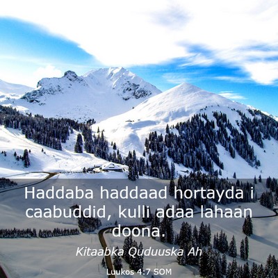 Picture 03 - Luukos 4:7 SOM - Haddaba haddaad hortayda i caabuddid, kulli adaa - Bible Verse Picture