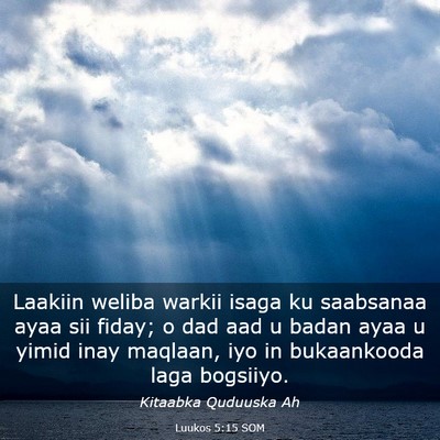 Picture 03 - Luukos 5:15 SOM - Laakiin weliba warkii isaga ku saabsanaa ayaa sii - Bible Verse Picture