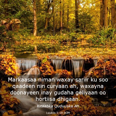 Picture 03 - Luukos 5:18 SOM - Markaasaa niman waxay sariir ku soo qaadeen nin - Bible Verse Picture
