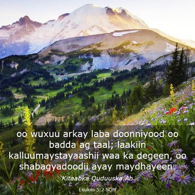 Picture 03 - Luukos 5:2 SOM - oo wuxuu arkay laba doonniyood oo badda ag taal; - Bible Verse Picture