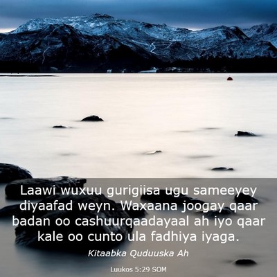 Picture 03 - Luukos 5:29 SOM - Laawi wuxuu gurigiisa ugu sameeyey diyaafad weyn. - Bible Verse Picture