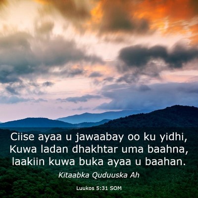 Picture 03 - Luukos 5:31 SOM - Ciise ayaa u jawaabay oo ku yidhi, Kuwa ladan - Bible Verse Picture