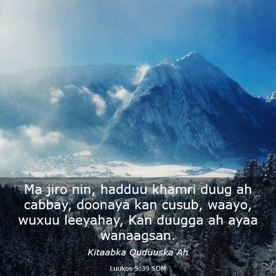 Picture 03 - Luukos 5:39 SOM - Ma jiro nin, hadduu khamri duug ah cabbay, - Bible Verse Picture