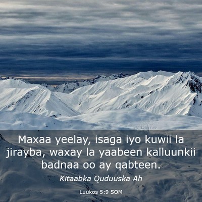 Picture 03 - Luukos 5:9 SOM - Maxaa yeelay, isaga iyo kuwii la jirayba, waxay - Bible Verse Picture
