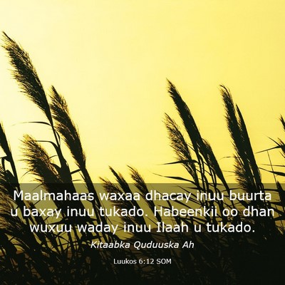Picture 03 - Luukos 6:12 SOM - Maalmahaas waxaa dhacay inuu buurta u baxay inuu - Bible Verse Picture