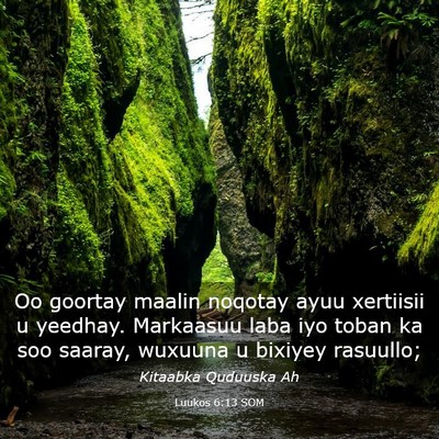 Picture 03 - Luukos 6:13 SOM - Oo goortay maalin noqotay ayuu xertiisii u - Bible Verse Picture